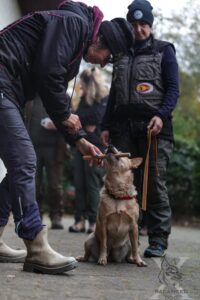 Apportieren am Bundesseminar